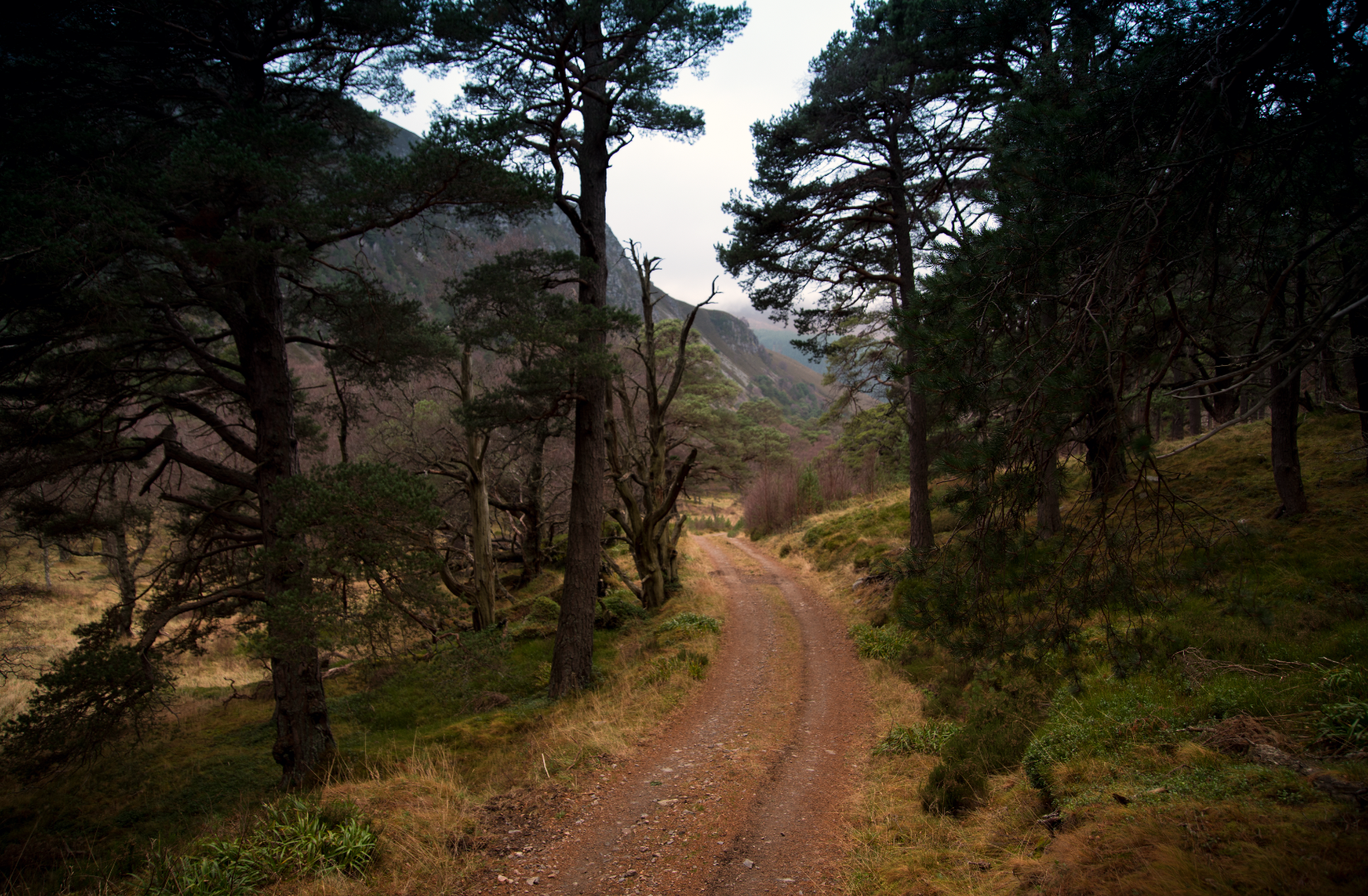 Highland landscape advisory