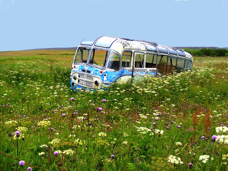 Orkney